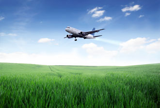 Image of Commercial Airlines flying over grassy meadow